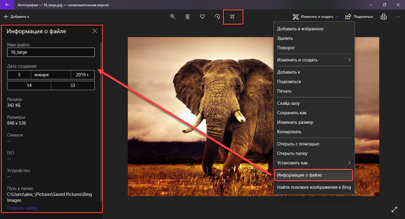 Чтобы редактировать информацию, вы должны кликнуть правой кнопкой мыши на фотографии и выбрать опцию «Информация о файле». 