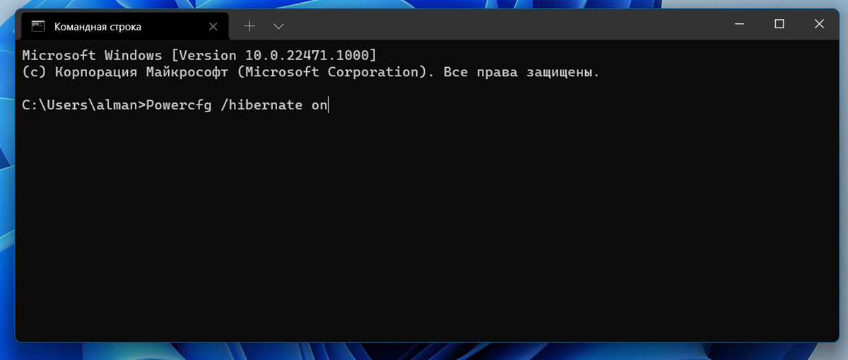 Включить / отключить функцию Гибернацию в Windows 11 \10