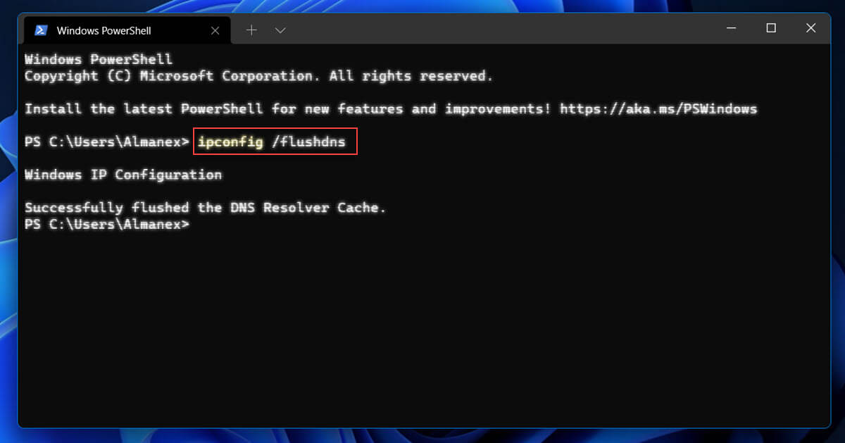 Windows11 Очистите кеш DNS.