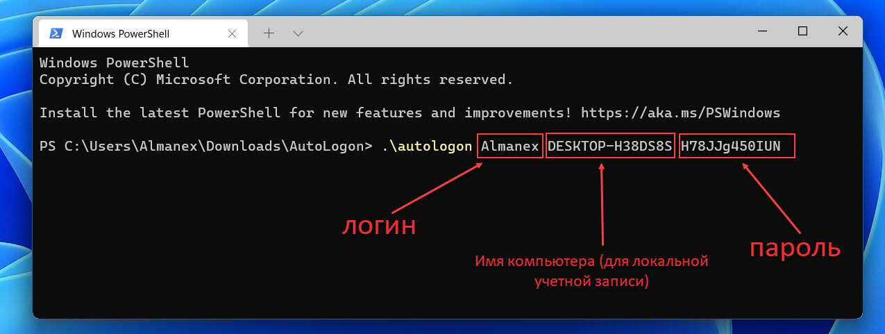 Вы также можете работать с утилитой AutoLogon с помощью Терминала Windows, используя синтаксис: