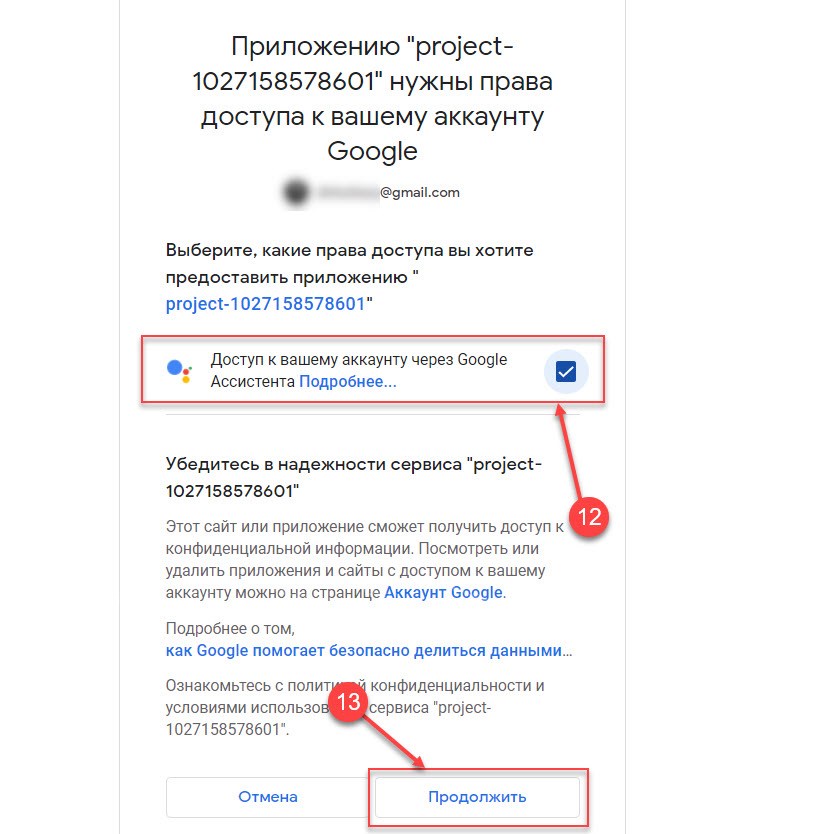 Теперь предоставьте проекту права доступа к вашему аккаунту, установив соответствующий флажок и нажав кнопку «Продолжить».