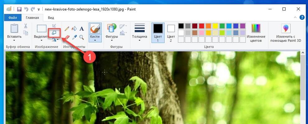 Как Изменить Размер Фото Через Paint