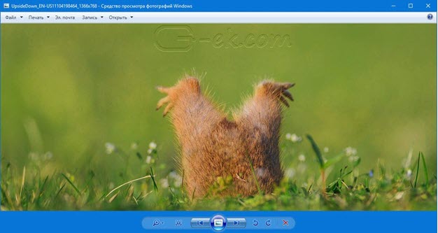Reg файл для просмотра фотографий windows 10